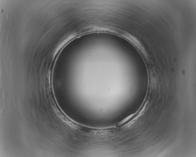 X0000062931198200601131503