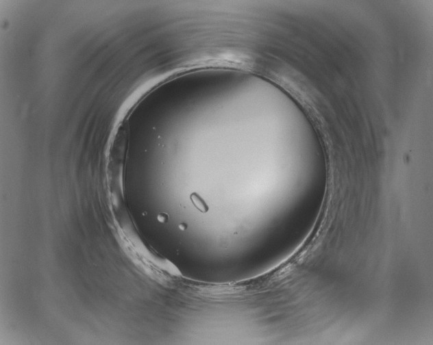 X0000062931200200601131503