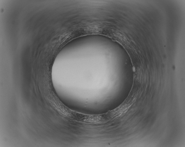 X0000062931201200601131502