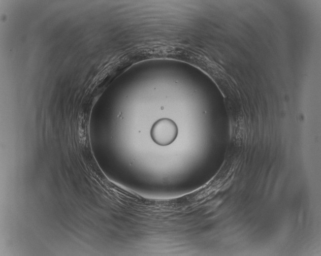 X0000062931202200601131502