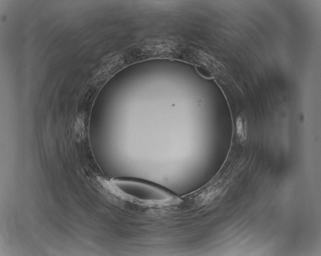 X0000062931203200601131502