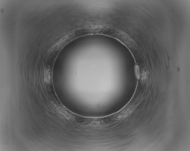 X0000062931204200601131502