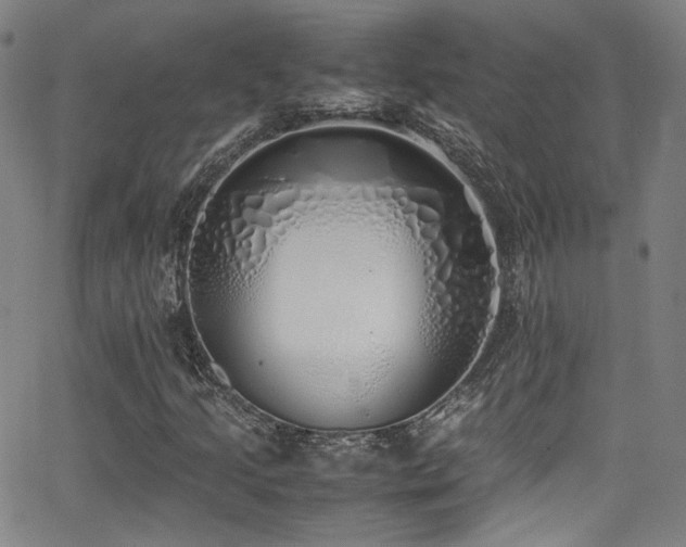 X0000062931205200601131502