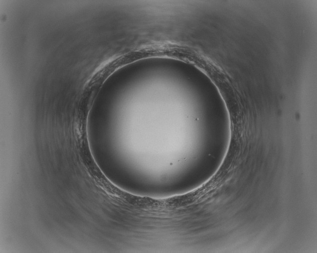 X0000062931206200601131502