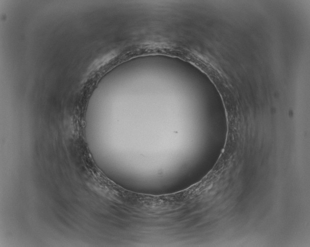 X0000062931207200601131502