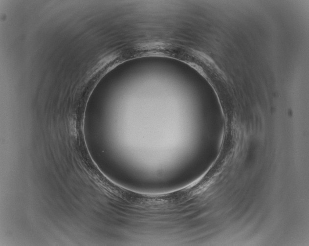 X0000062931209200601131502