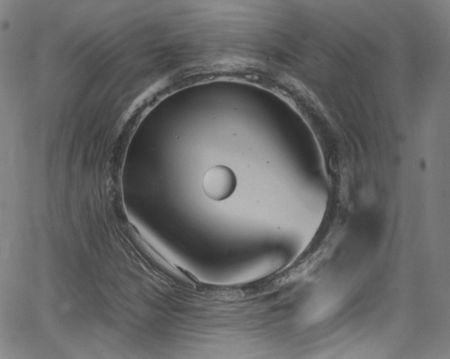 X0000062931210200601131502