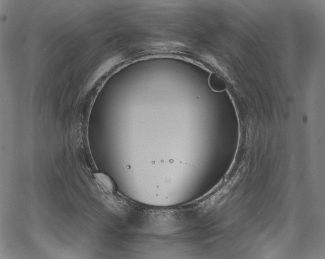 X0000062931211200601131502