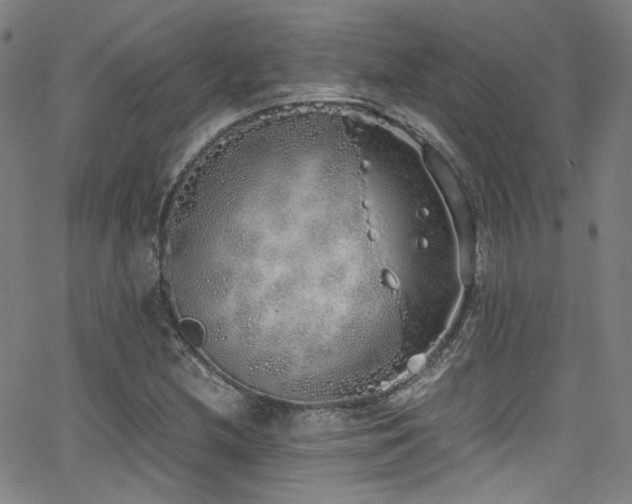 X0000062931212200601131502