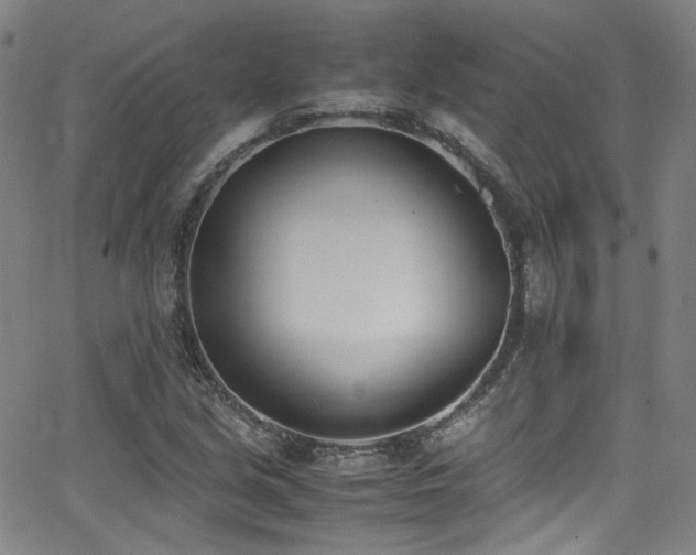 X0000062931213200601131502