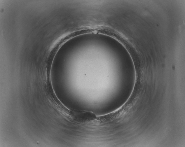 X0000062931214200601131502