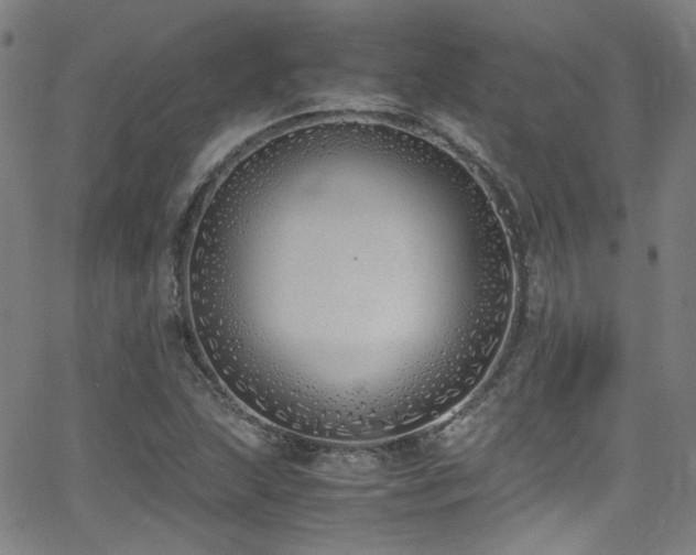 X0000062931215200601131502