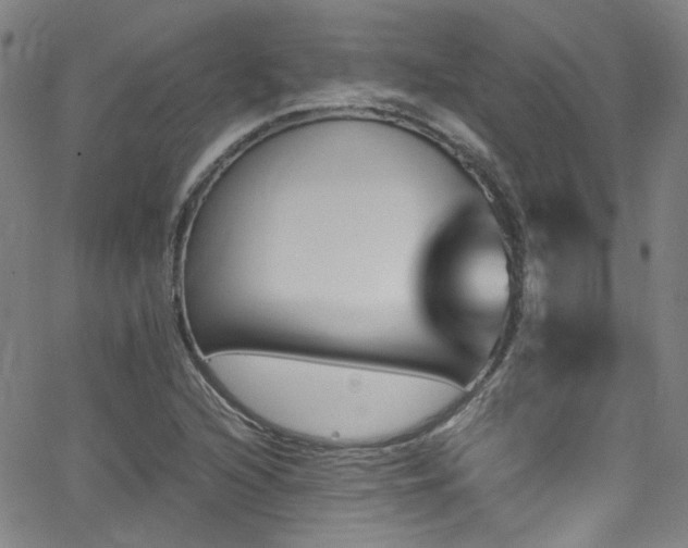 X0000062931216200601131502