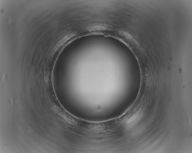 X0000062931217200601131502