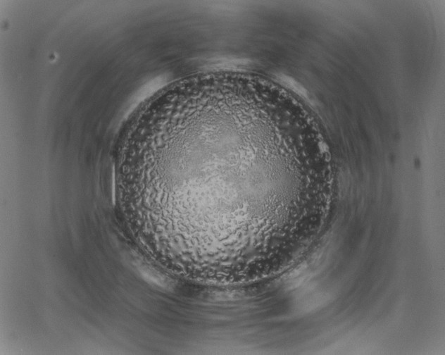 X0000062931219200601131503