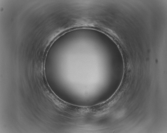 X0000062931220200601131503