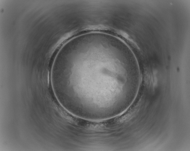 X0000062931221200601131503