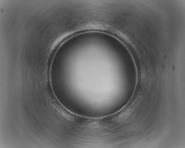 X0000062931222200601131503