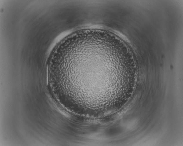 X0000062931223200601131503