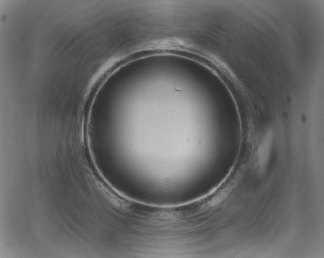 X0000062931224200601131503