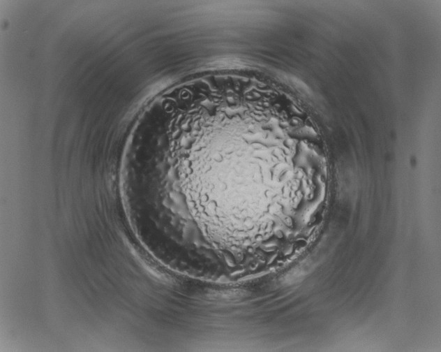 X0000062931225200601131503