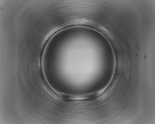 X0000062931226200601131503