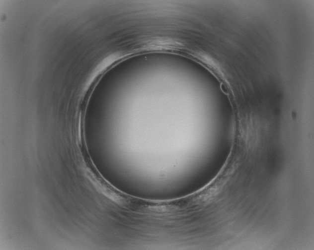 X0000062931227200601131503