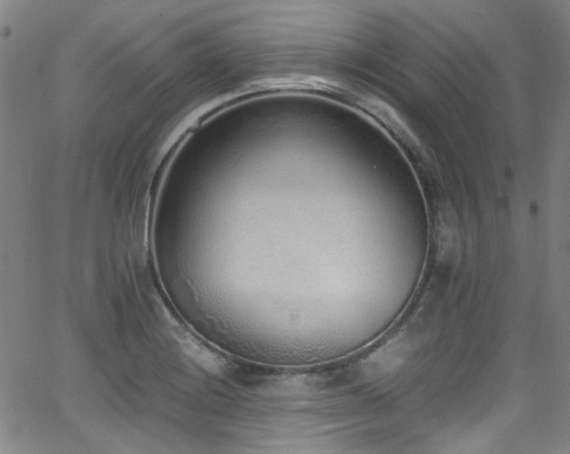 X0000062931228200601131503