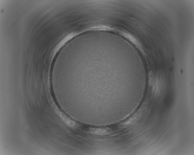 X0000062931229200601131503