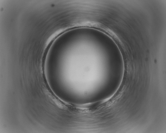 X0000062931230200601131503