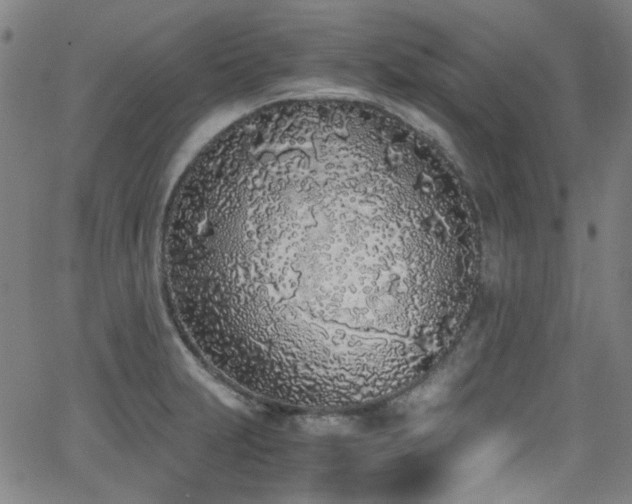 X0000062931231200601131503