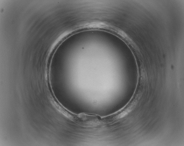 X0000062931232200601131503