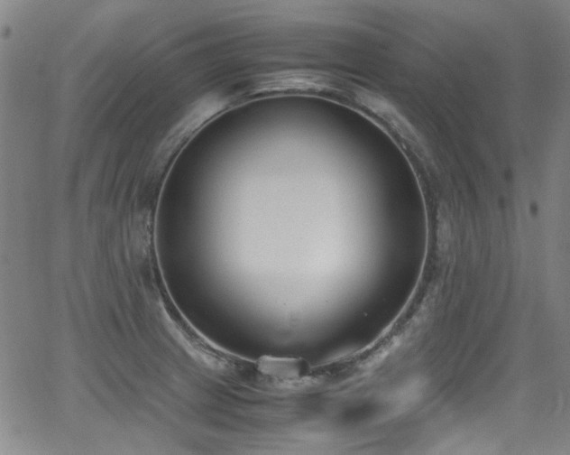 X0000062931233200601131503