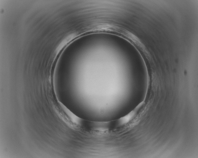 X0000062931234200601131503