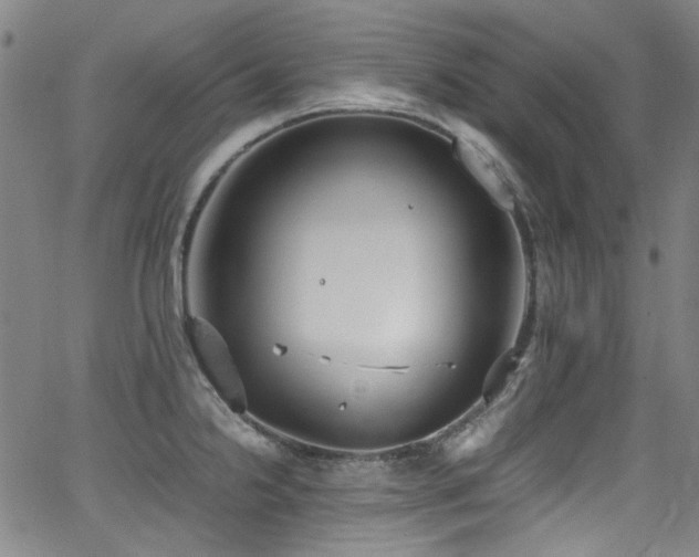 X0000062931238200601131503