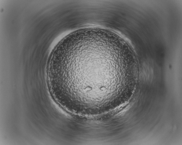 X0000062931239200601131503