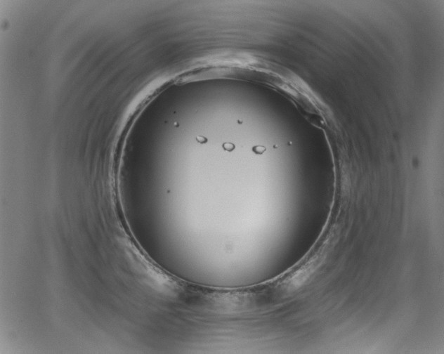 X0000062931240200601131503