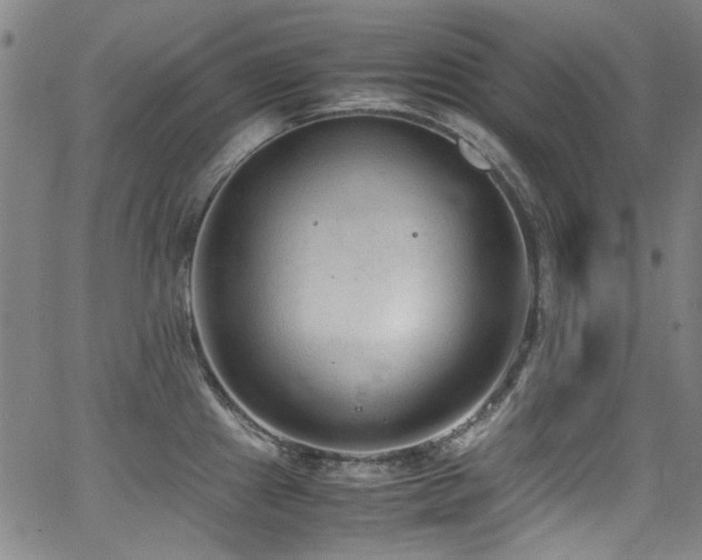 X0000062931241200601131503