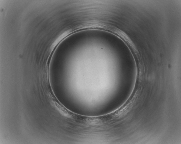 X0000062931242200601131503