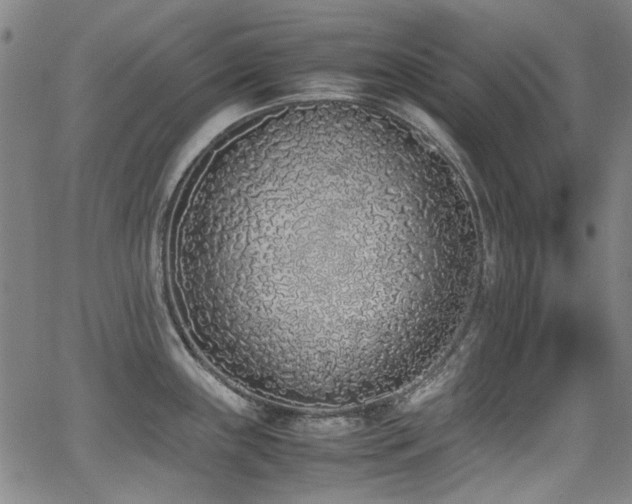 X0000062931243200601131503