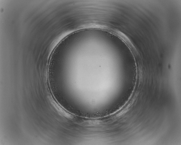 X0000062931244200601131503