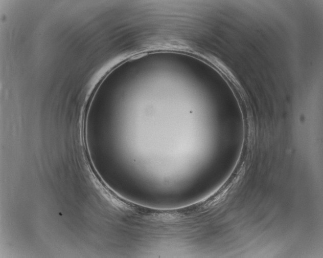 X0000062931246200601131503