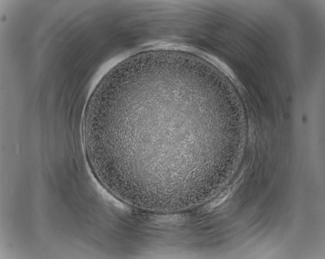 X0000062931247200601131503