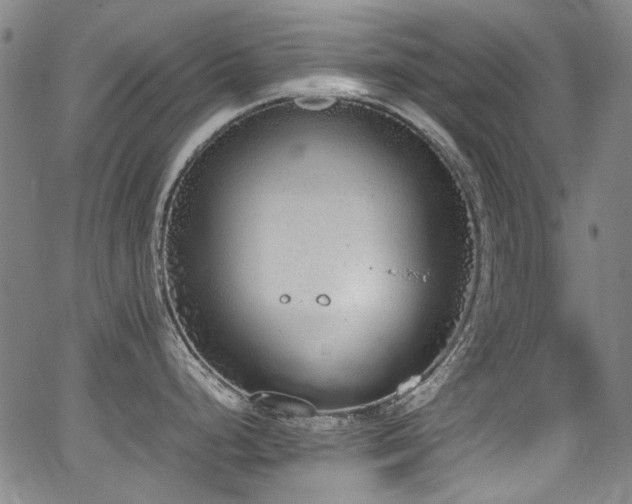 X0000062931248200601131503