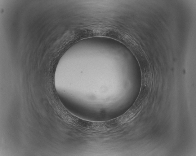 X0000062931249200601131502