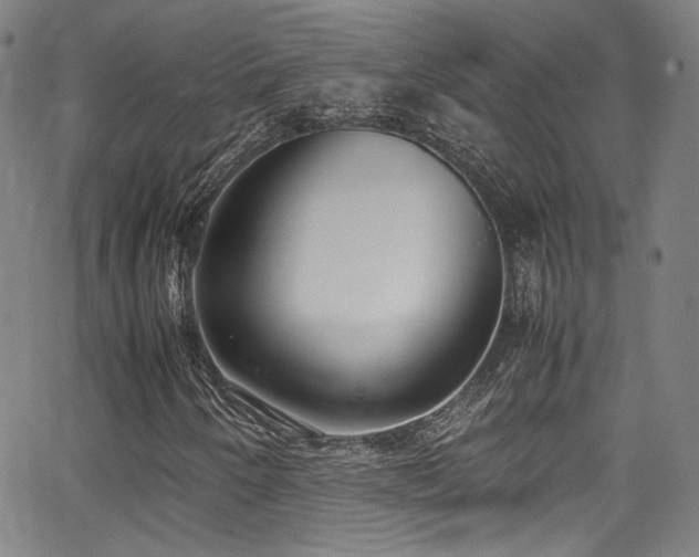 X0000062931250200601131502