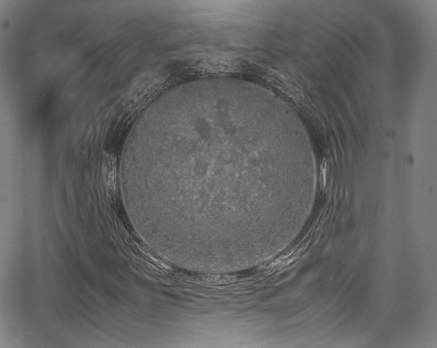 X0000062931251200601131502