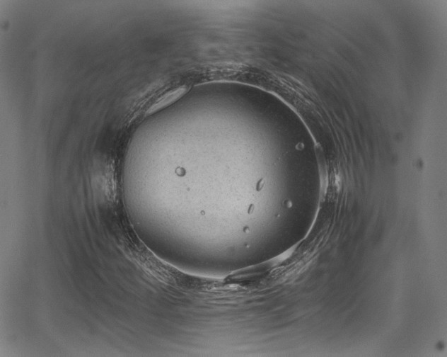 X0000062931252200601131502