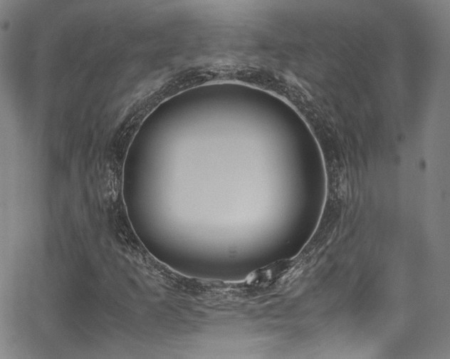 X0000062931253200601131502