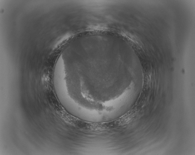 X0000062931254200601131502